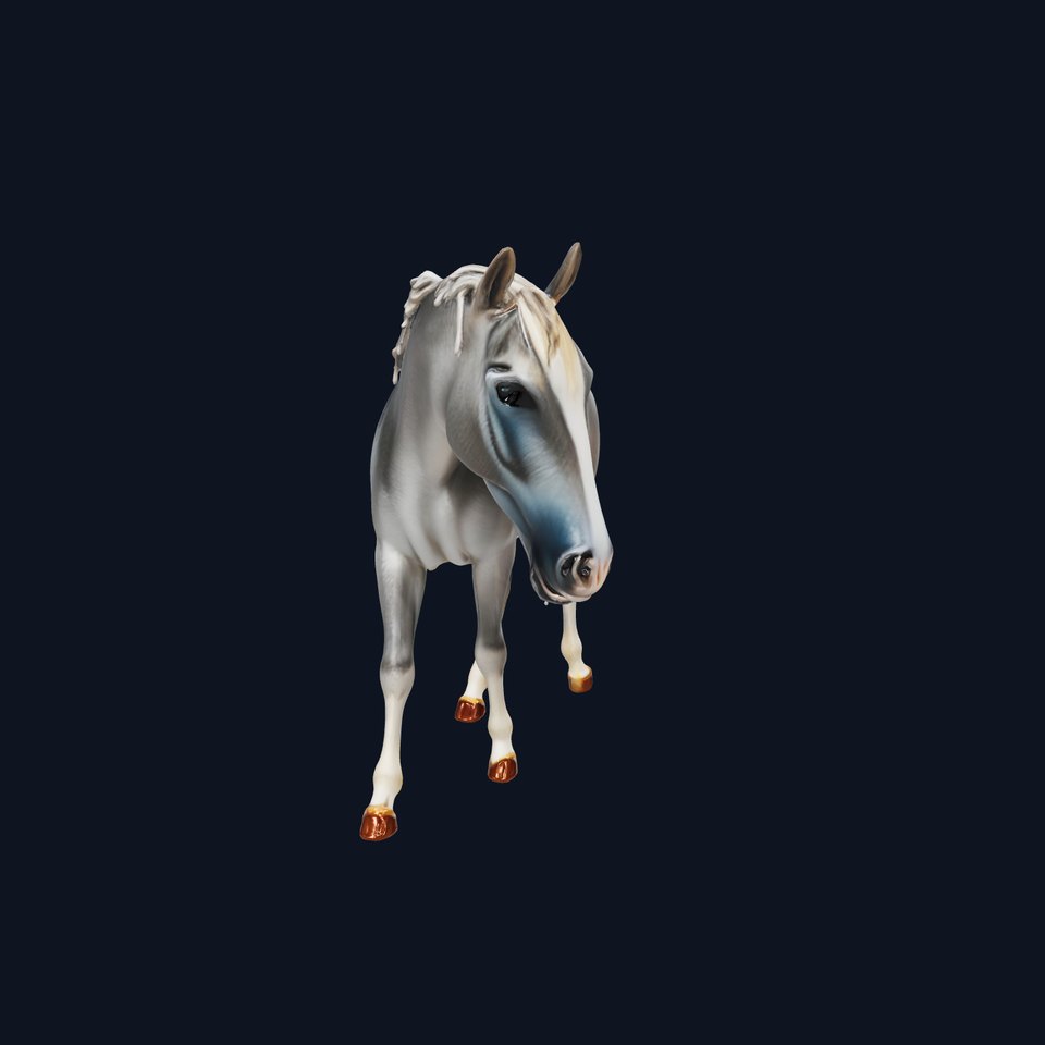 Gray Warmblood Horse with White Transition